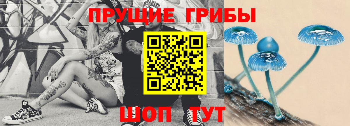 Галлюциногенные грибы мицелий  Псилоцибиновые грибы MAGIC MUSHROOMS  Вход с VPN  Королёв 